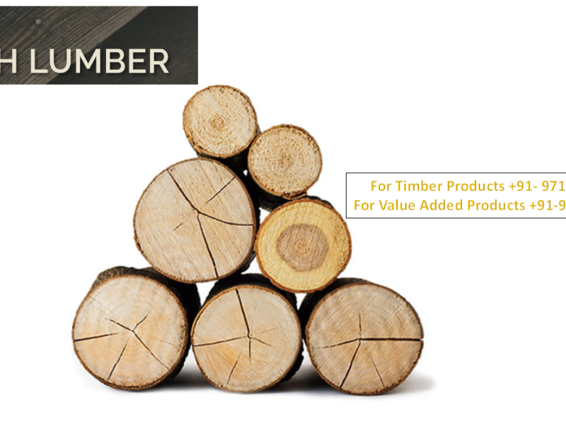 Faith Lumber by Faith Lumber on Dribbble