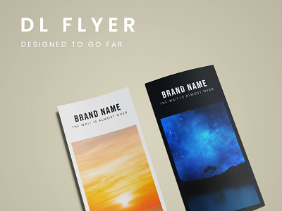 DL Flyer bifold branding brochure catalog design flyer flyer design graphic design graphics illustration illustrator minimal design vector