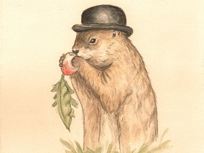 Diggery animals in clothes anthropomorphic art groundhog day illustration nature painting spring watercolor