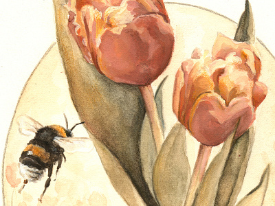 The Pollination (detail) art bee botanical colored pencils floral illustration mixed media nature painting spring watercolor wildlife