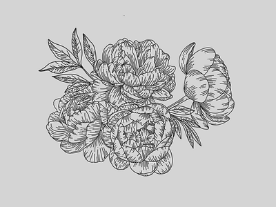 Peonies