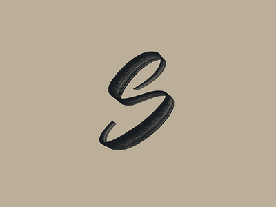 S 36 days of type alphabet hand lettering lettering letters s type typography