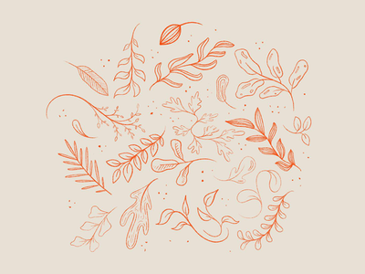 Leaves autumn autumn leaves fall illustration leaf leaves november october procreate procreate app sketch