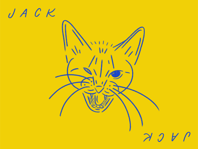 Jack ipad procreateapp procreate kitten blue yellow one eyed jack illustration cat illustration jack cat