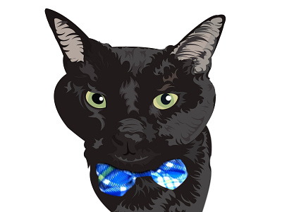 Cat Vector Design in illustrator cartoon character creative design graphic design illustration logo tracing vector