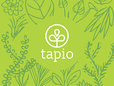 Tapio designs, themes, templates and downloadable graphic elements on  Dribbble