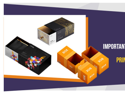 Carton Packaging Design packaging packaging boxes printed boxes