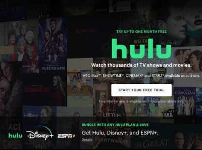 How Do I Change My Payment Method On Hulu? By Netflix Party On Dribbble