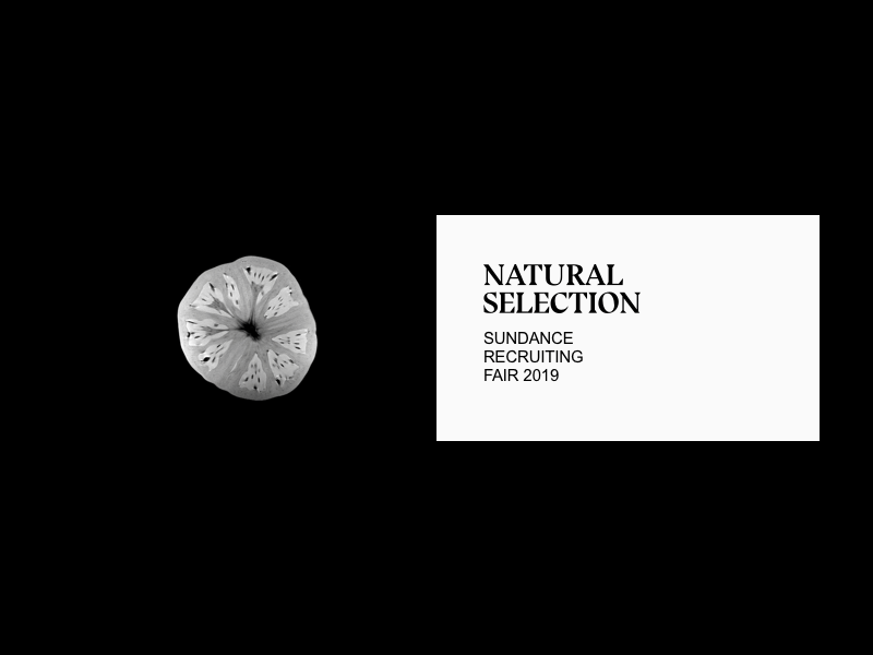 Natural Selection - Sundance 2019