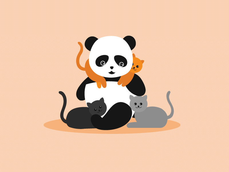 Kitty Panda animal animation cat gif kittens panda tail ui ux zoo