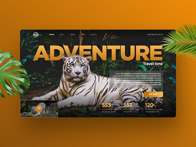 ADVENTURE graphic design landing page travel ui ux website design