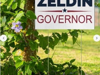 Lee Zeldin For Governor lawn sign design graphic design illustration