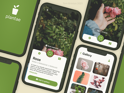 Plantae - Plant Identification App design iphone ui ux