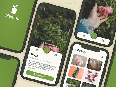 Plantae - Plant Identification App