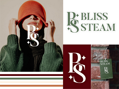BLISS STEAM LOGO branding design graphic design illustration logo logo makers logo redesign typography ui vector