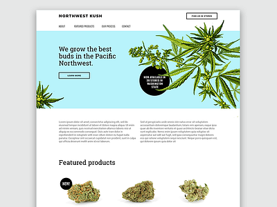 Northwest Kush Website cannabis web design website weed