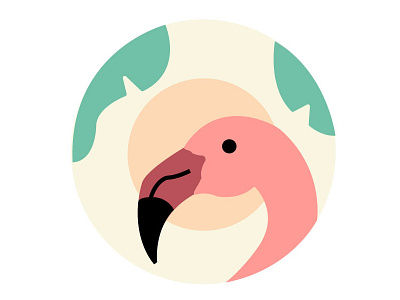 Flamingo graphicdesign icondesign iconography icons illustration toucan