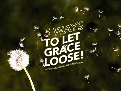 Ways to Let Grace Loose christian church church design church sermon dandelions design grace religion