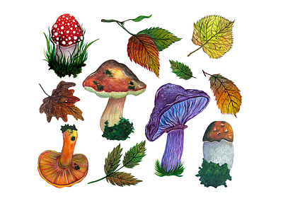 Watercolor illustrations of autumn botanical elements collection