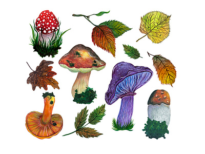 Watercolor illustrations of autumn botanical elements