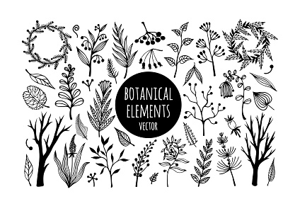Collection of vector botanical elements black