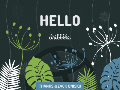 My first dribbble shot! first hello shot