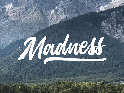 Madness // Hand Lettering hand lettering lettering lyrics madness song type