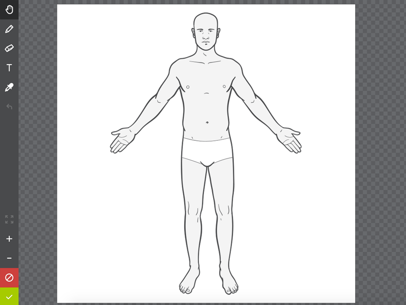 Body Chart Diagram