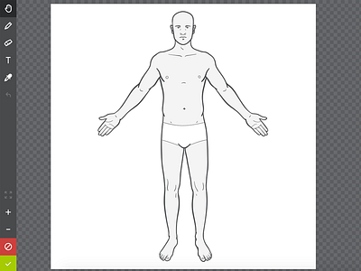 Body charts body canvas chart diagram drawing illustration paint