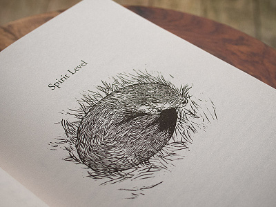 Spirit Level book illustration linocut mono otter publishing wildlife