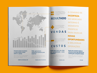 Lidera Consultoria Institutional Brochure consultancy corporate editorial flat infographic layout magazine print sans serif spread