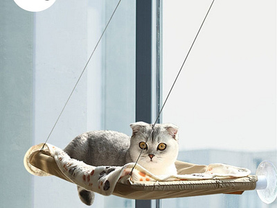 Comfortable Cat Hammock Bed 3d coffee design illustration motion graphics product typography