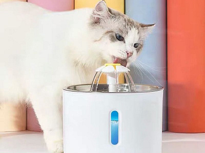 Electric Automatic Water Fountain