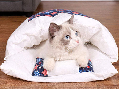 Cat Sleeping Bed & Cat Beds design product