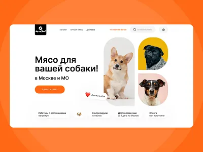 Dog Food Products Website 🐶 design interface landing ui ux web website