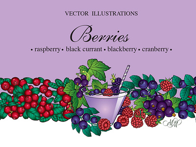 Berries. Vector illustrations