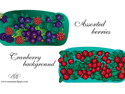 Cranberry and assorted berries. Vector illustrations assorted berries assorted berries pattern berries berries background berries clipart berries illustrations berries pattern berries vector blackberry blackcurrant blueberry cranberries background cranberry graphic design labels design packaging design vector berries vector clipart vector food illustration vector illustrations