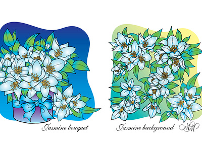 Jasmine floral vector illustrations