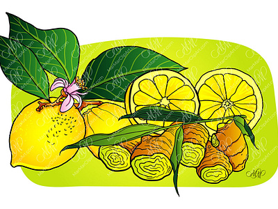 Lemons with leaves and ginger. Vector illustration