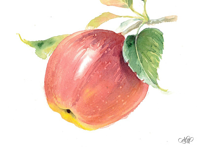 Watercolor illustration "Apple red"
