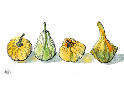 4 decorative pumpkins by www.marmarclipart.com on Dribbble