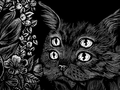 Booze Illustration - Detail alcohol cat illustration packaging poster