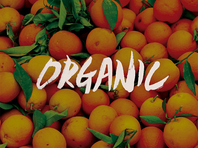 Organic bi brand brush calligraphy juice logo orange organic