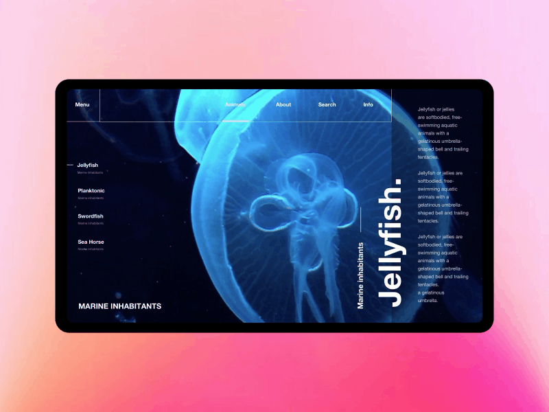 Marine inhabitants animation principle ui ux web design