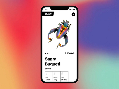 Beetle shop animation app beetle concept design store ui ux