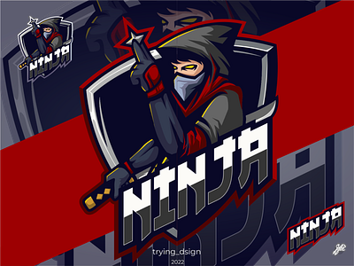 NINJA brand branding design graphic design illustration logo modern vector