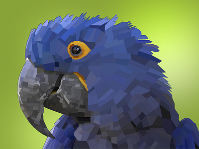 Parrot low poly animation graphic design