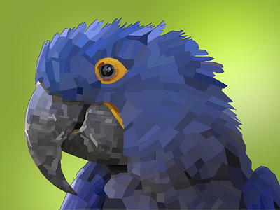 Parrot low poly