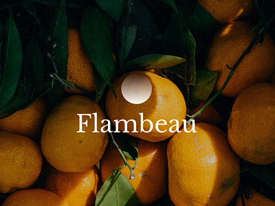 Flambeau Branding brand brand identity branding design graphic design logo minimal minimalist mood board package packaging photography product sensory