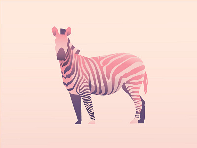 Zebra gradient illustration pink stripes zebra